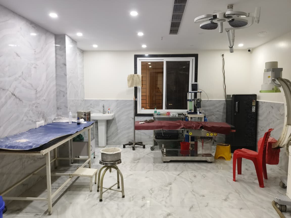 Gallery Image 6
